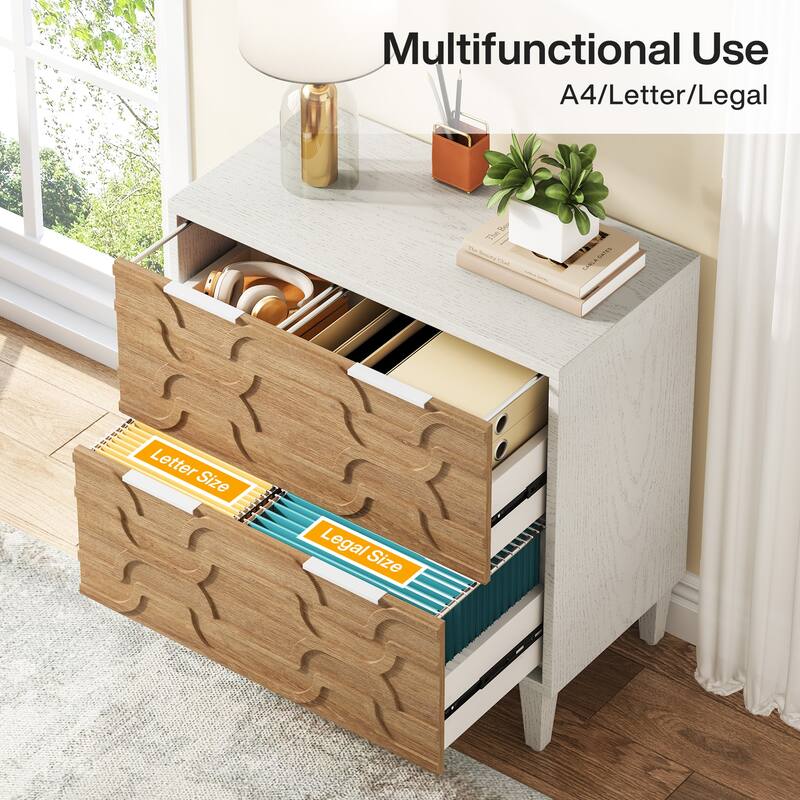 2 Drawer File Cabinet for Home Office, Filling Cabinet for A4/Letter/Legal Size