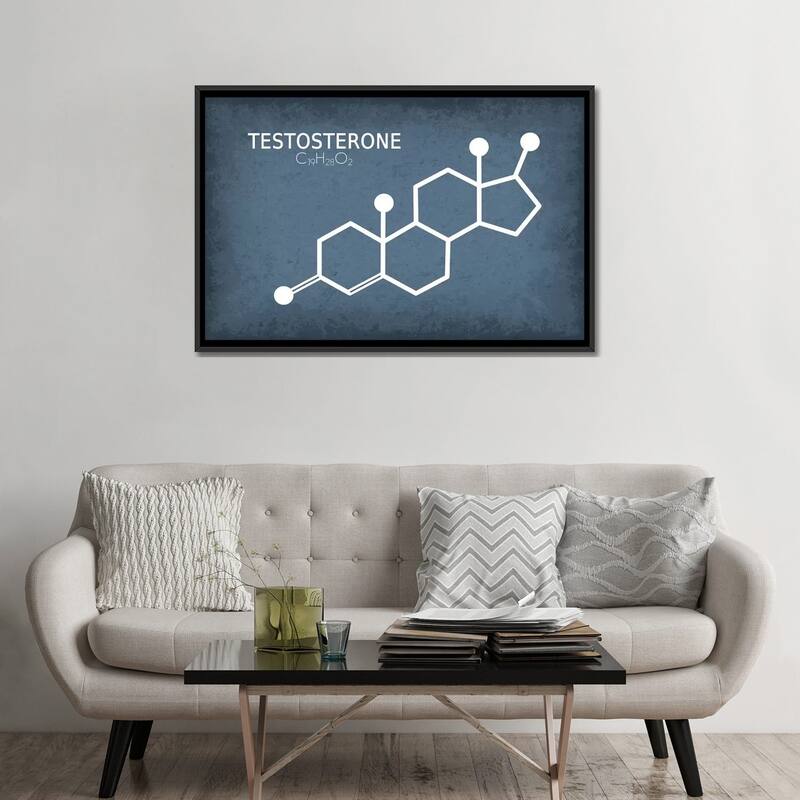 iCanvas "Testosterone Molecule" by GetYourNerdOn Framed Canvas Print