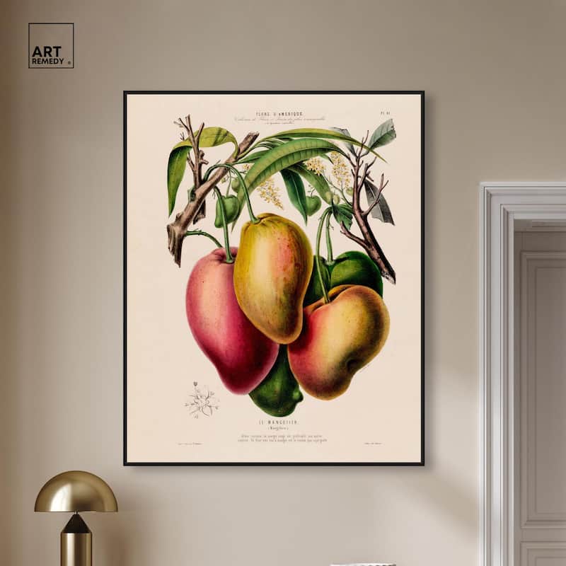 Mangoes by Etienne Denisse Canvas by Art Remedy
