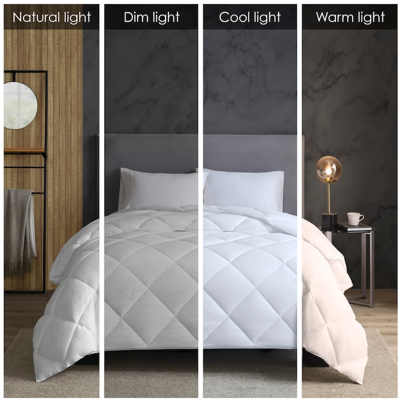 Madison Park Maximum Warmth Cotton Down Alternative Featherless Comforter