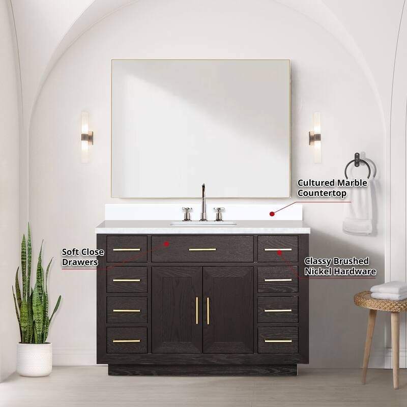 Abbey 48 in W x 22 in D Black Oak Single Bath Vanity, Cultured Marble Top, and 46 in Mirror