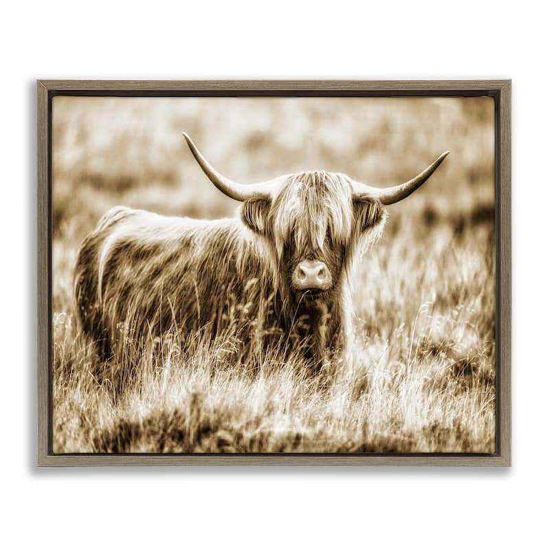 Stupell Vintage Cow In Pasture Animal Photo Floater Frame - Brown - 31 x 25 - Brown