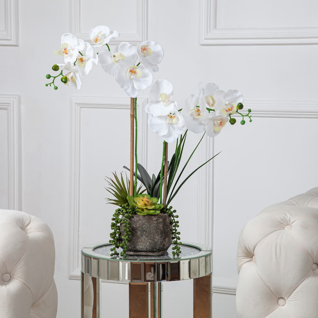 2 Stems Real Touch Phalaenopsis Plastic Orchids with Succulents in Pot - 23.23" H x 20.08" W x 10.04" D