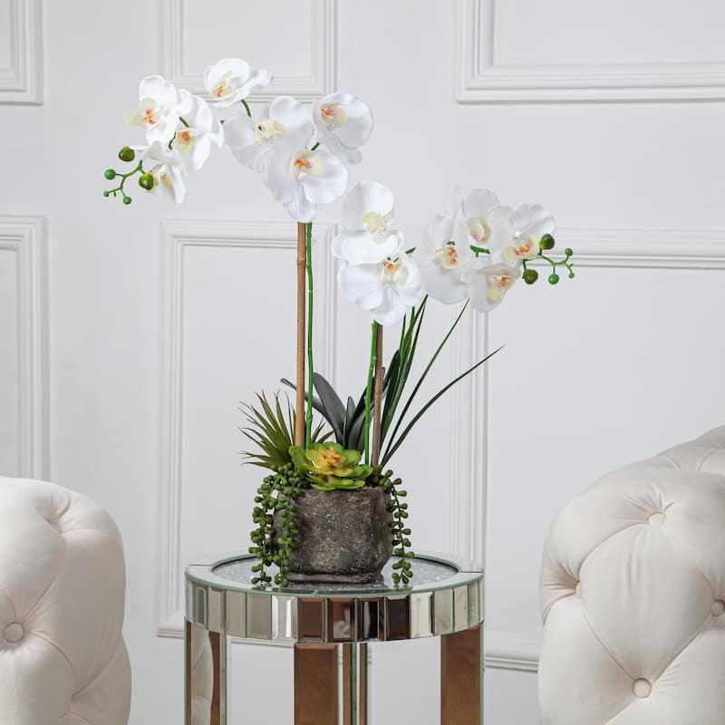 2 Stems Real Touch Phalaenopsis Plastic Orchids with Succulents in Pot - 23.23" H x 20.08" W x 10.04" D