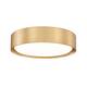 Option Modern Gold