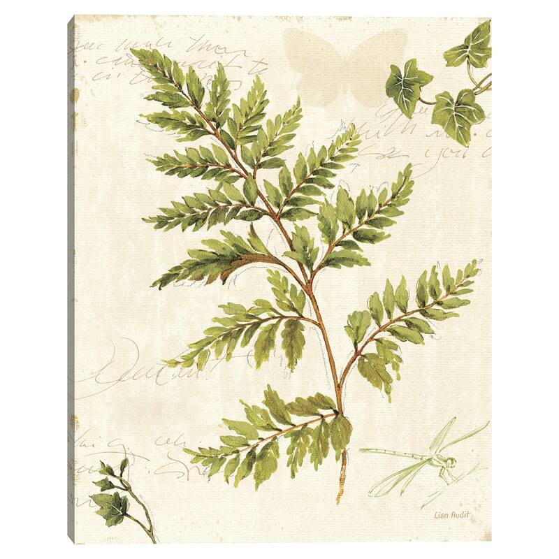 Ivies and Ferns I by Lisa Audit Canvas Art Print
