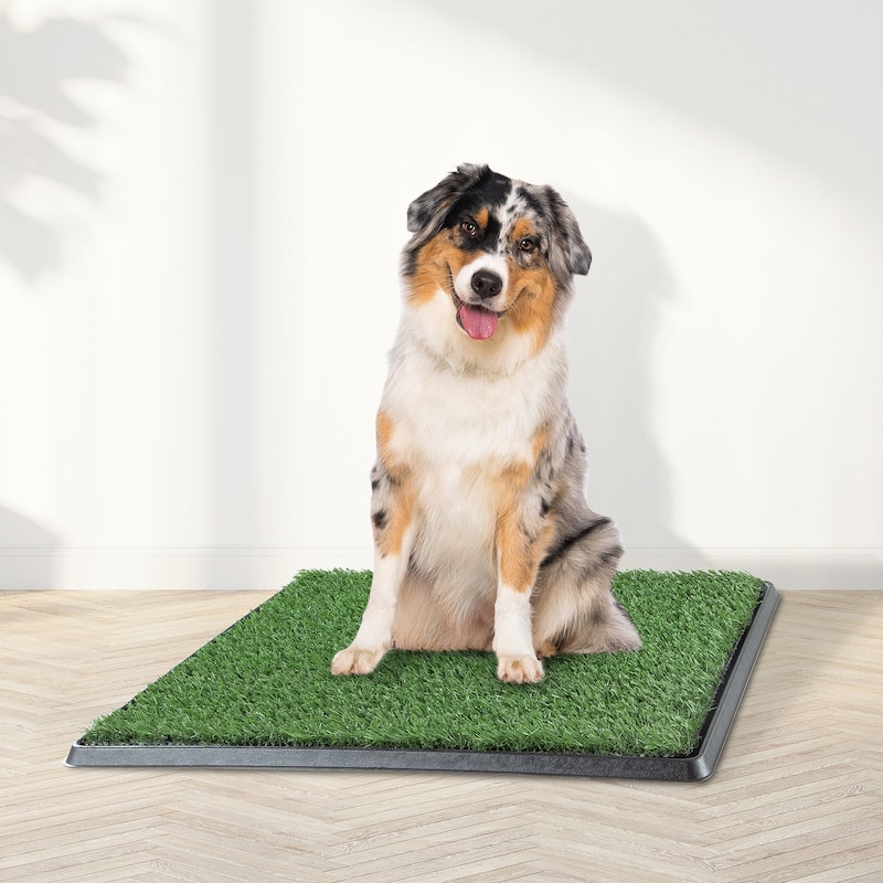 PETMAKER Reusable 4-Layer Artificial Grass Puppy Pee Pad with Tray
