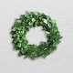 preview thumbnail 6 of 5, Preserved Genuine Boxwood Wreath