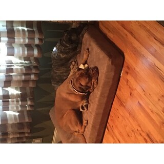 Big Barker 7-inch Pillowtop Orthopedic Dog Bed Headrest ...