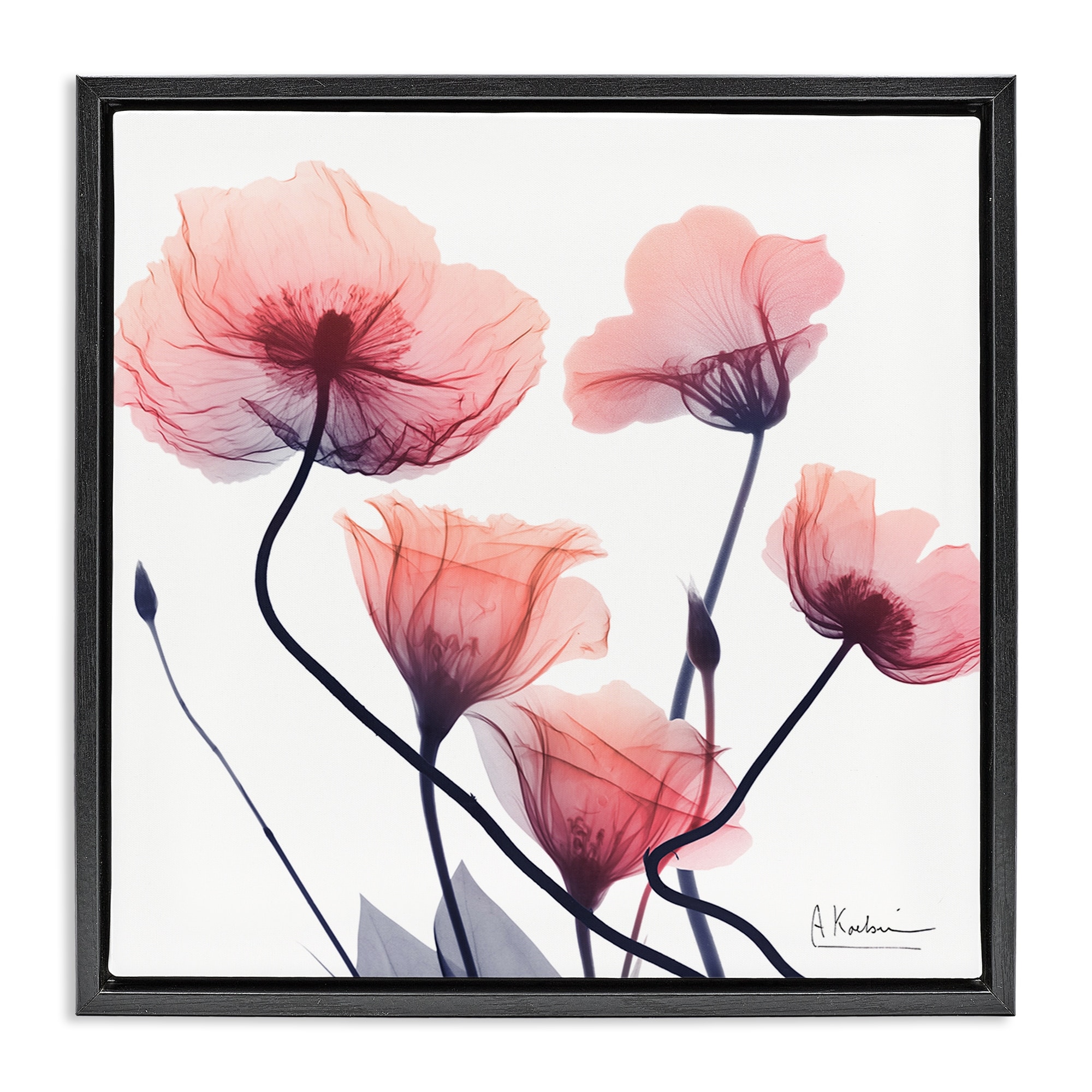 Stupell Pink Chic Simple Flowers Framed Floater Canvas Wall Art Design By Albert Koetsier