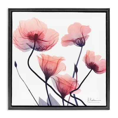 Stupell Pink Chic Simple Flowers Framed Floater Canvas Wall Art Design By Albert Koetsier
