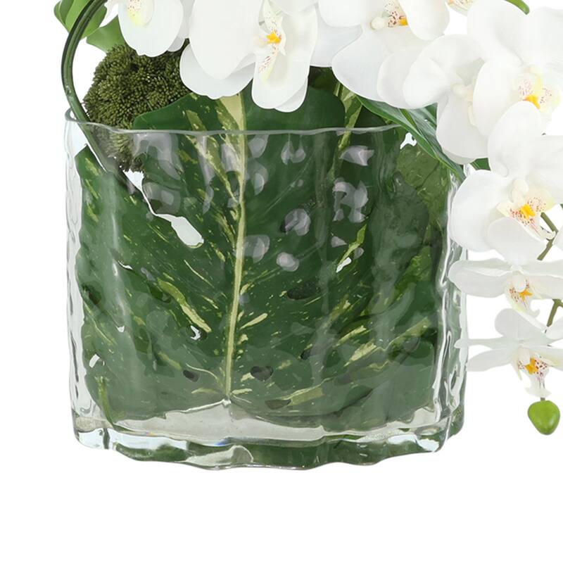 Orchid Arrangement with Philodendron in Vase - 30