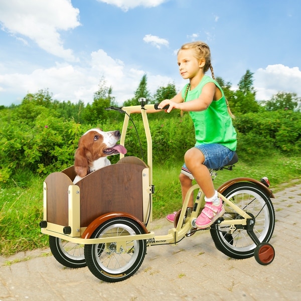 Outdoor Foldable Mini Cargo Bike with Cargo Basket and Training