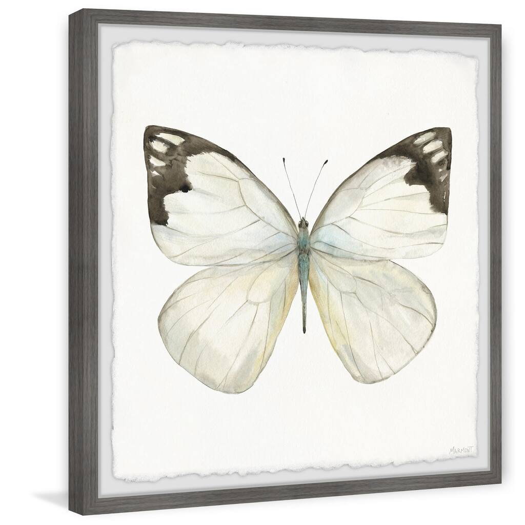 'Rainforest Butterfly' Framed Painting Print