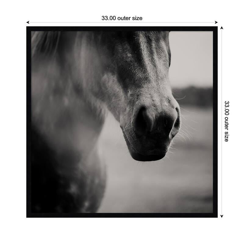Kate and Laurel Horse Like Velvet by Laura Evans Framed Wall Art Print