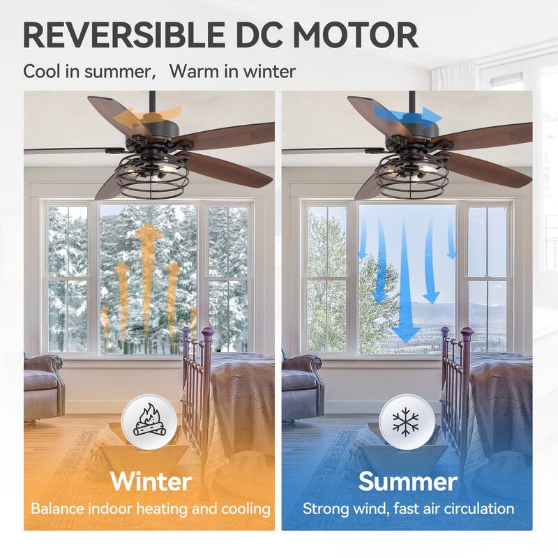 Modern Ceiling Fan with LED Light & Remote Control