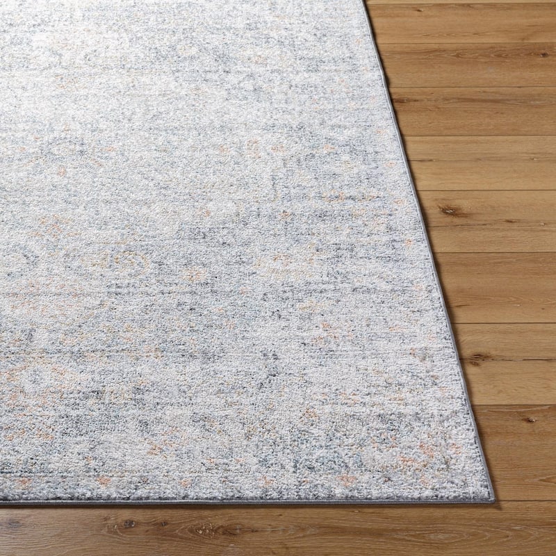 Livabliss Caressa Vintage Boho Area Rug