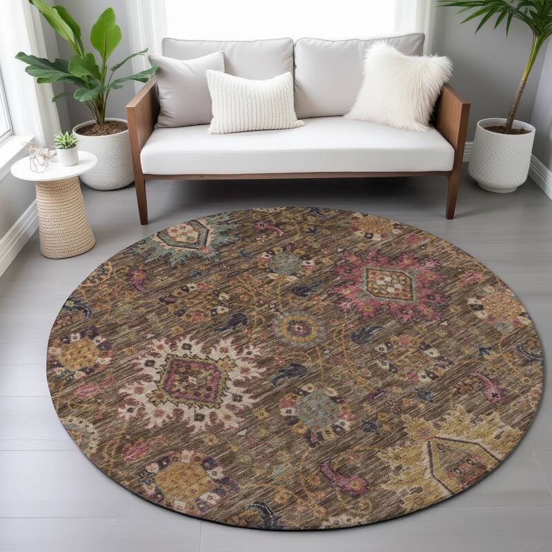 Machine Washable Indoor/Outdoor Boho Traditional Chantille Rug