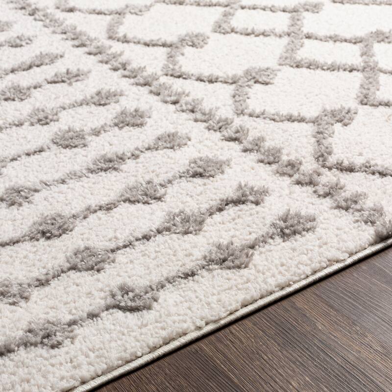 Artistic Weavers Havva Geometric Bohemian Area Rug