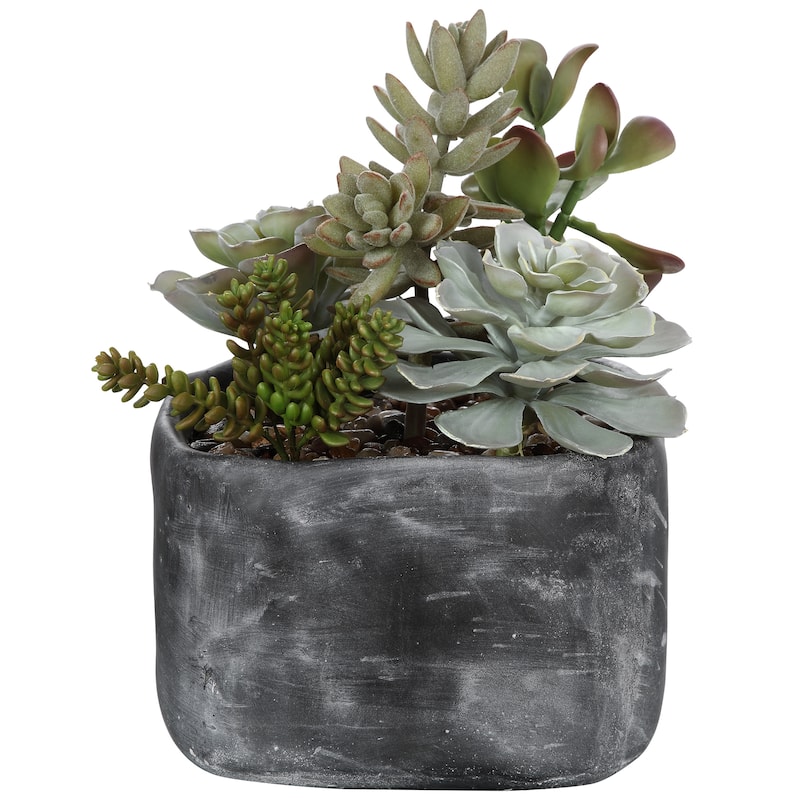 Uttermost Alverio Desert Garden Succulents