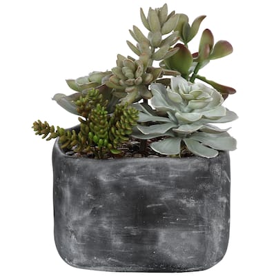 Uttermost Alverio Desert Garden Succulents