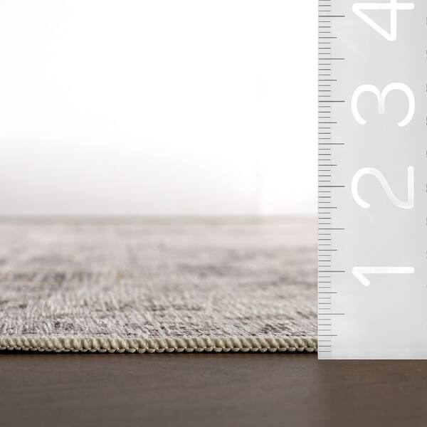 Nuloom Ainara Splashguard Traditional Machine Washahble Area Rug