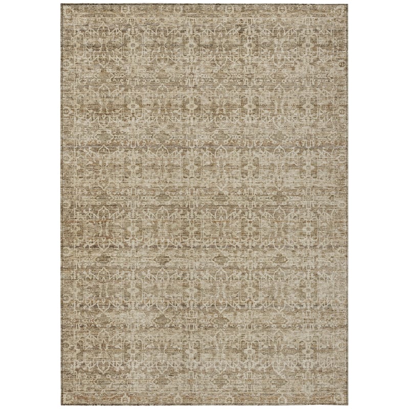 Machine Washable Indoor/Outdoor Traditional Harmony Chantille Rug