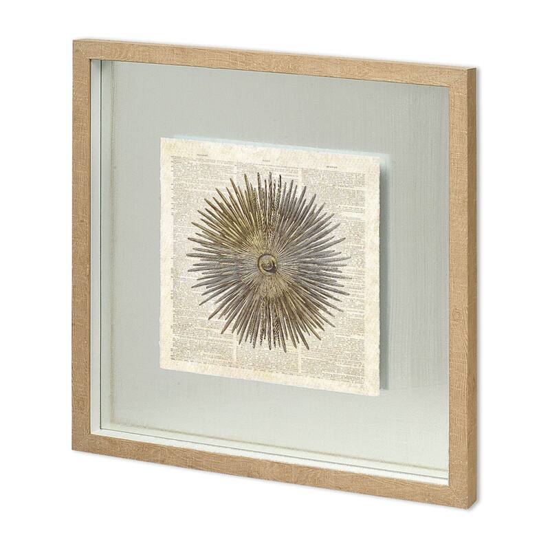Sea Urchin Pages Framed Art Print