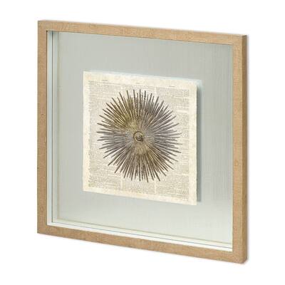 Sea Urchin Pages Framed Art Print
