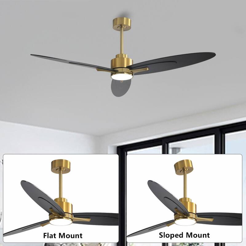 WINGBO 60-in 3-Blades Indoor Ceiling Fan with LED Light & Remote