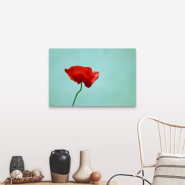 Red Poppies White Sky Flowers SINGLE CANVAS WALL ART Picture Print