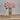 10" Freeze-Dry Rose Bunch of 12