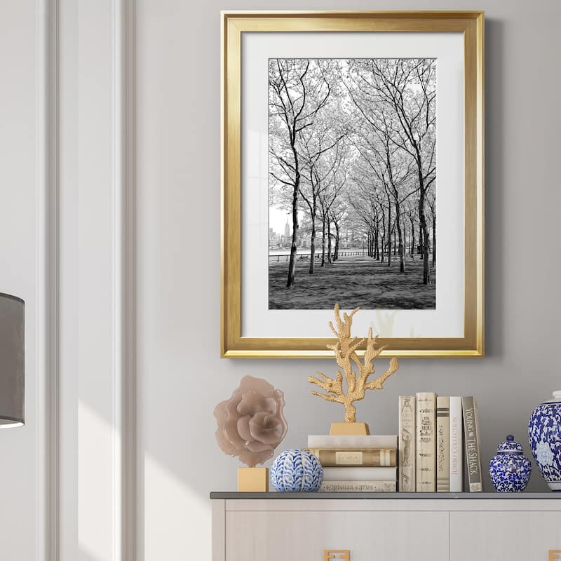 Pier a Park Premium Framed Print - Ready to Hang
