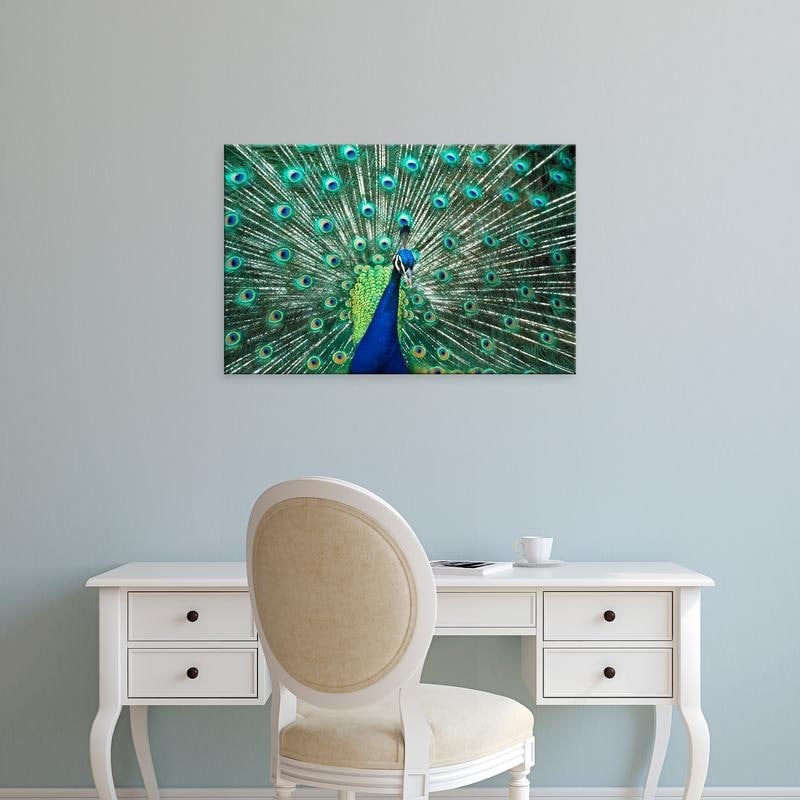 Shop Easy Art Prints Bill Bachmann S Beautiful Peacock Spreading