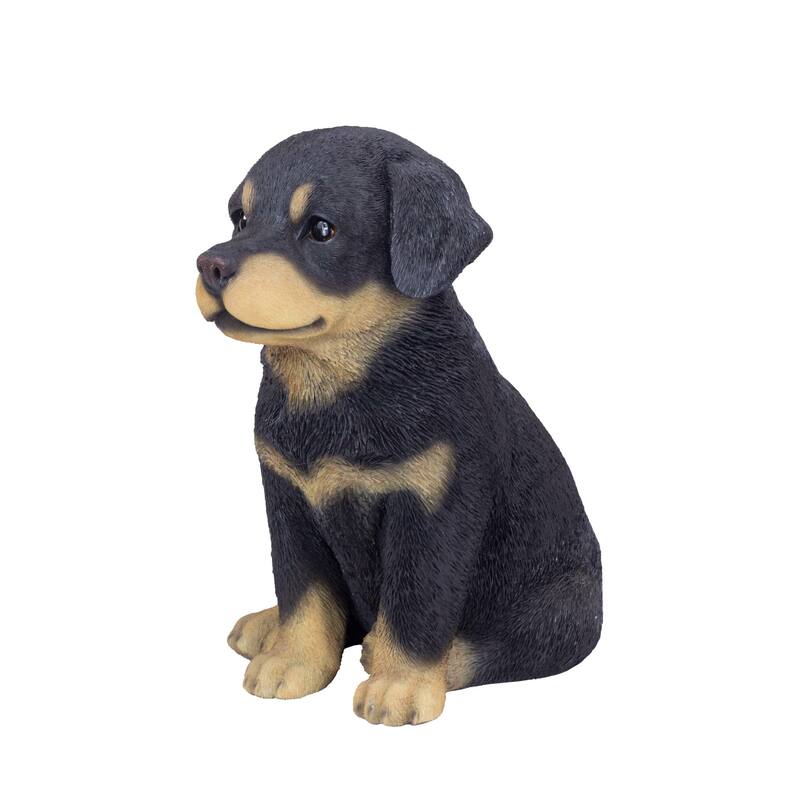 Sitting Rottweiler Puppy Outdoor Garden Statue - 13" - Black