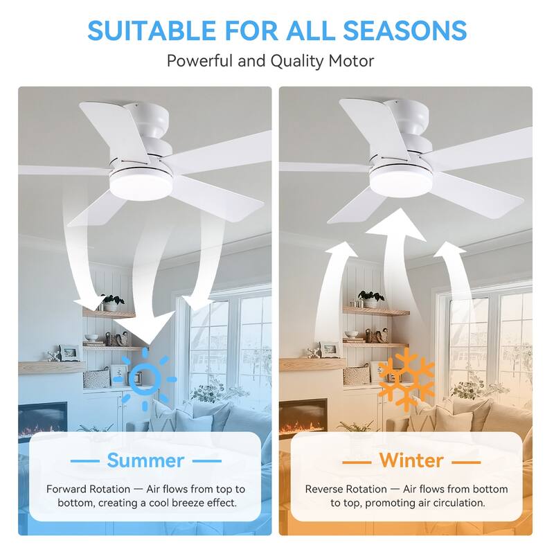 41 and 46 Inches Ceiling Fan with Light RGB Light OPtional for Living Room Bedroom Bathroom