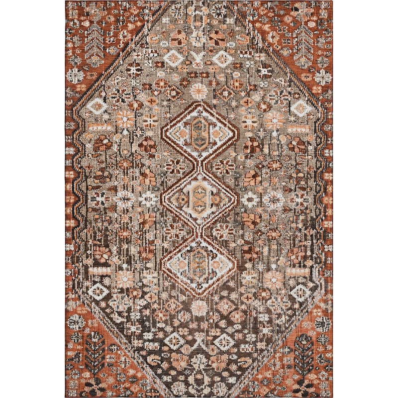 Premium Washable Super Soft Traditional Global Mayfield Rug