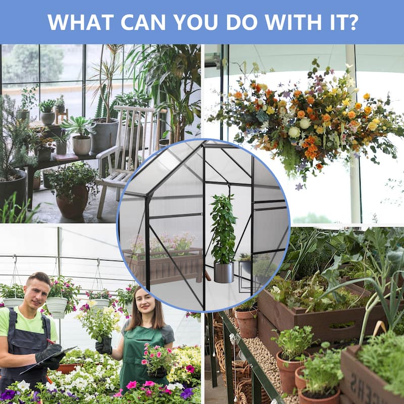 6X6FT-BLACK Polycarbonate Greenhouse