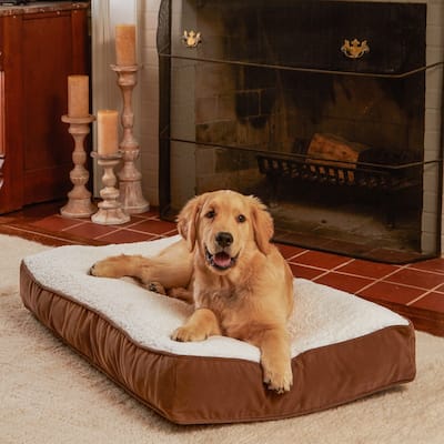Happy Hounds Buster Sherpa Latte Dog Bed