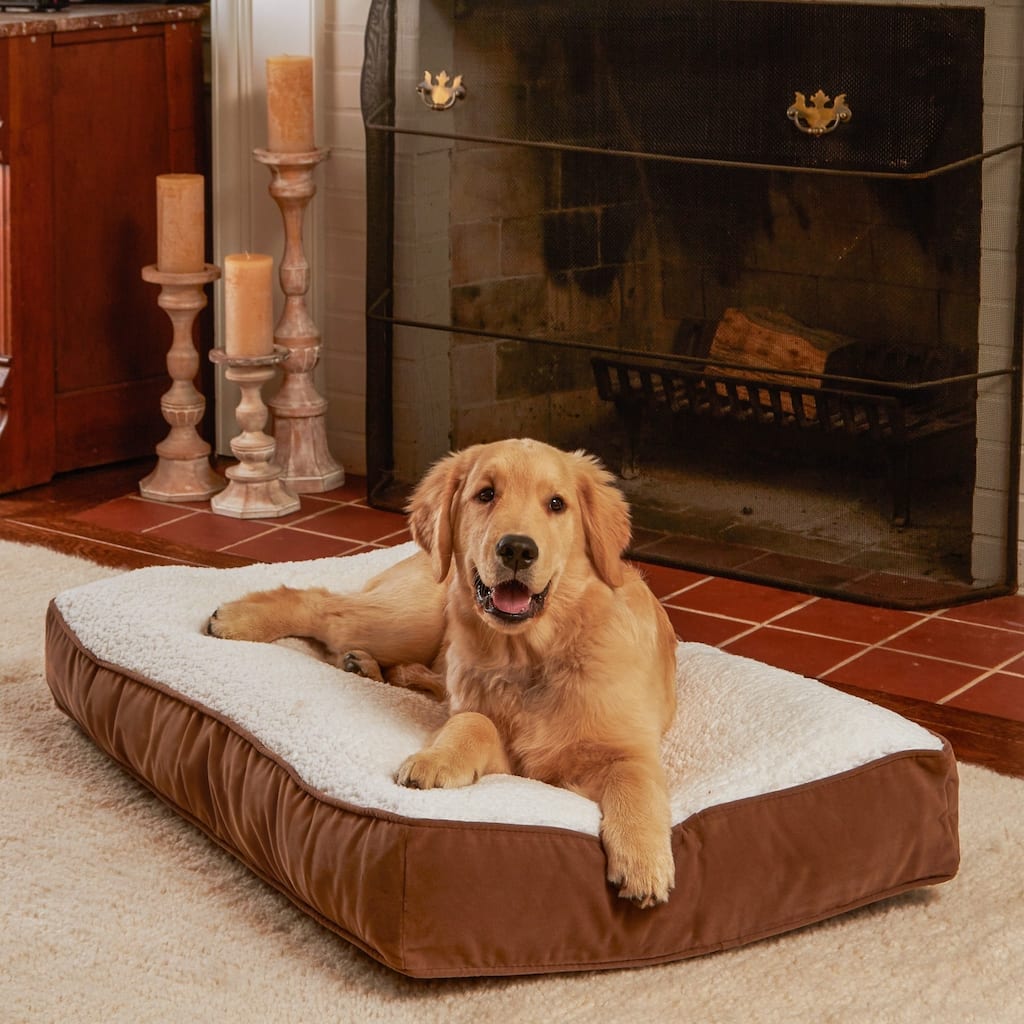 Happy Hounds Buster Sherpa Latte Dog Bed