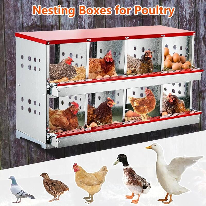 8-Hole Wall-Mounted Metal Chicken Nests Boxes Laying Eggs
