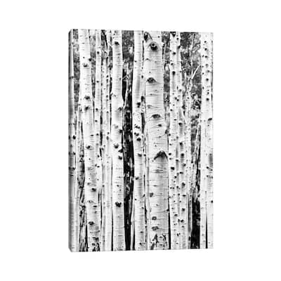 iCanvas "Birch In Black & White" by Sisi & Seb Canvas Print