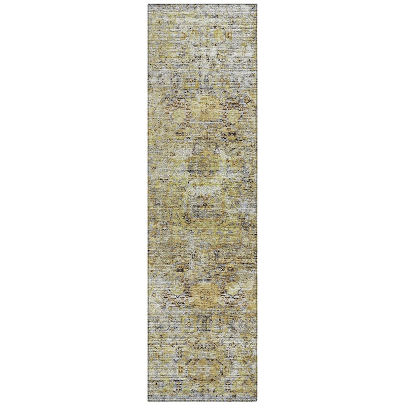 Machine Washable Indoor/ Outdoor Vintage Traditional Chantille Rug