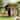Qaba Wooden Kids Playhouse with Picnic Table, Benches, Chalkboards, Half Door & Windows, Indoor Outdoor