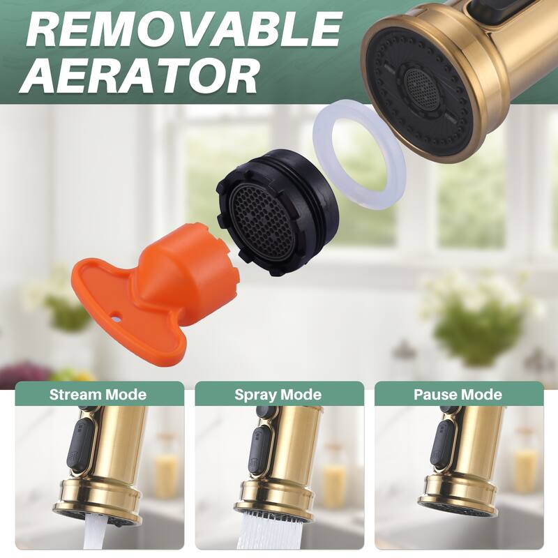 WOWOW Double Handle Bridge Kitchen Faucet with Advanced Spray