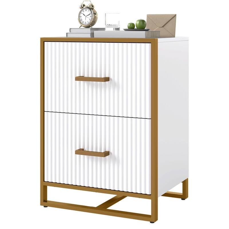 Moasis 2 Drawer File Cabinet with Gold Frame Filing Cabinet for Letter Size Printer Stand