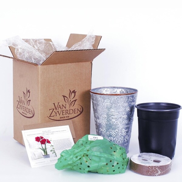 Van Zyverden Amaryllis Kit Cherry Nymph with Southwest Metal