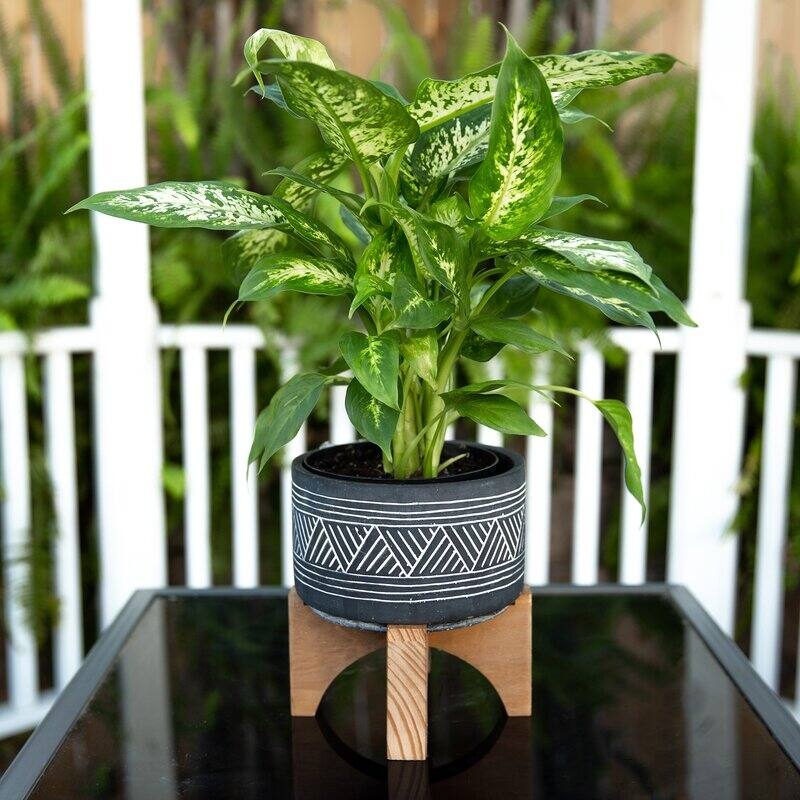 Mid-Century 7" Mountain Cement With Wood Stand