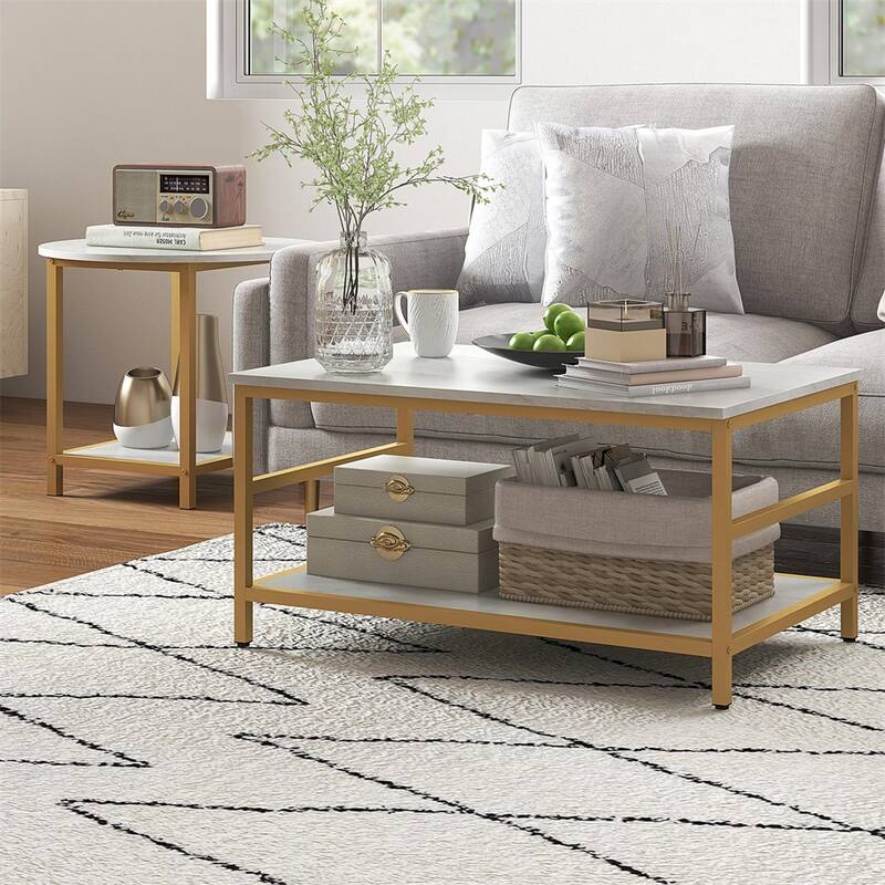 Coffee Tables with Storage Shelves and Steel Frame (Set of 2)
