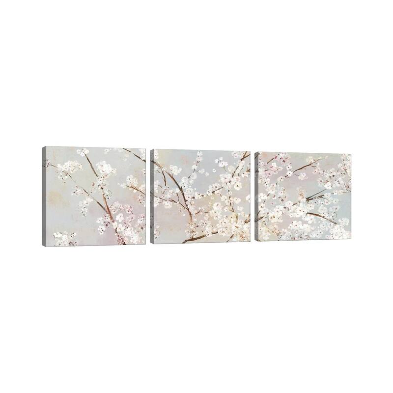 iCanvas "Bloomingdale" by Asia Jensen 3-Piece Canvas Wall Art Set